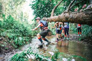 BIB: 
                            <button type="button" onclick="openModal(25517738)" class="btn btn-primary btn-sm float-right btn-popup" data-toggle="modal" data-target=".modal-high-quality">
                        <i class="fas fa-shopping-cart"></i> Add to Cart
                    </button>
                                            <button type="button" onclick="isThisMe(25517738, true)" class="btn btn-success btn-sm float-right btn-popup btn-isme hidden" data-toggle="tooltip" data-placement="bottom" title="นี่คือรูปของคุณใช่ไหม คลิกที่นี่เพื่อเอาเข้าอัลบั้ม">
                        <i class="fas fa-plus"></i> Add to album
                    </button>
                    <button type="button" onclick="isThisMe(25517738, false)" class="btn btn-warning btn-sm float-right btn-popup btn-isnotme hidden">
                        <i class="fas fa-ban"></i> Remove from album
                    </button>